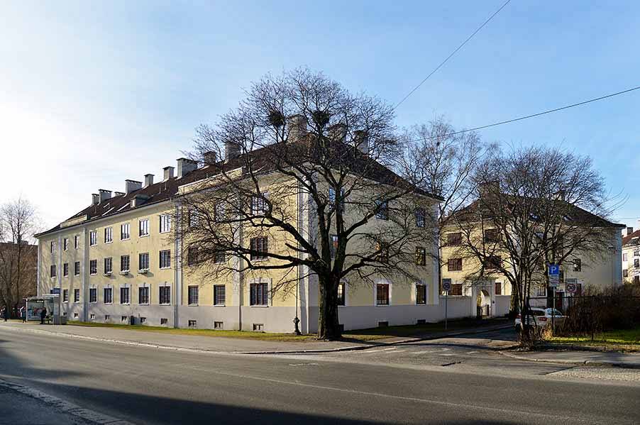 Dsc2026modweb 1582556230 Jpg 89A85ab91a7932364a05072b5223cd